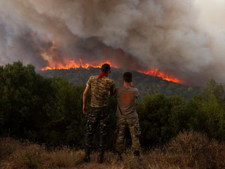 Militias ‘Hunting’ Migrants on Greek Border