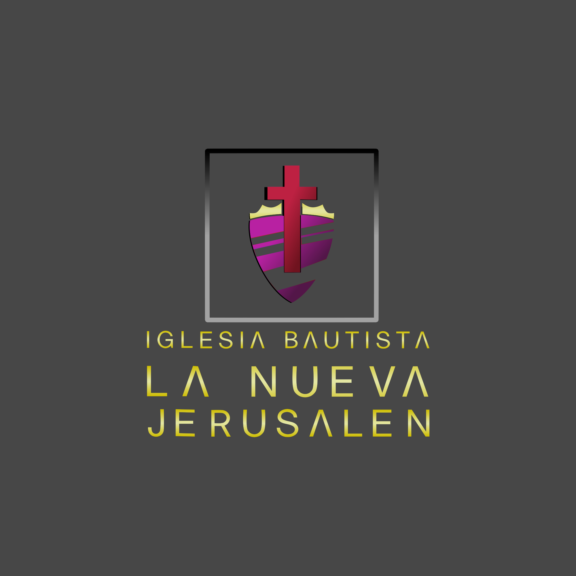 Logo IBNJ 4
