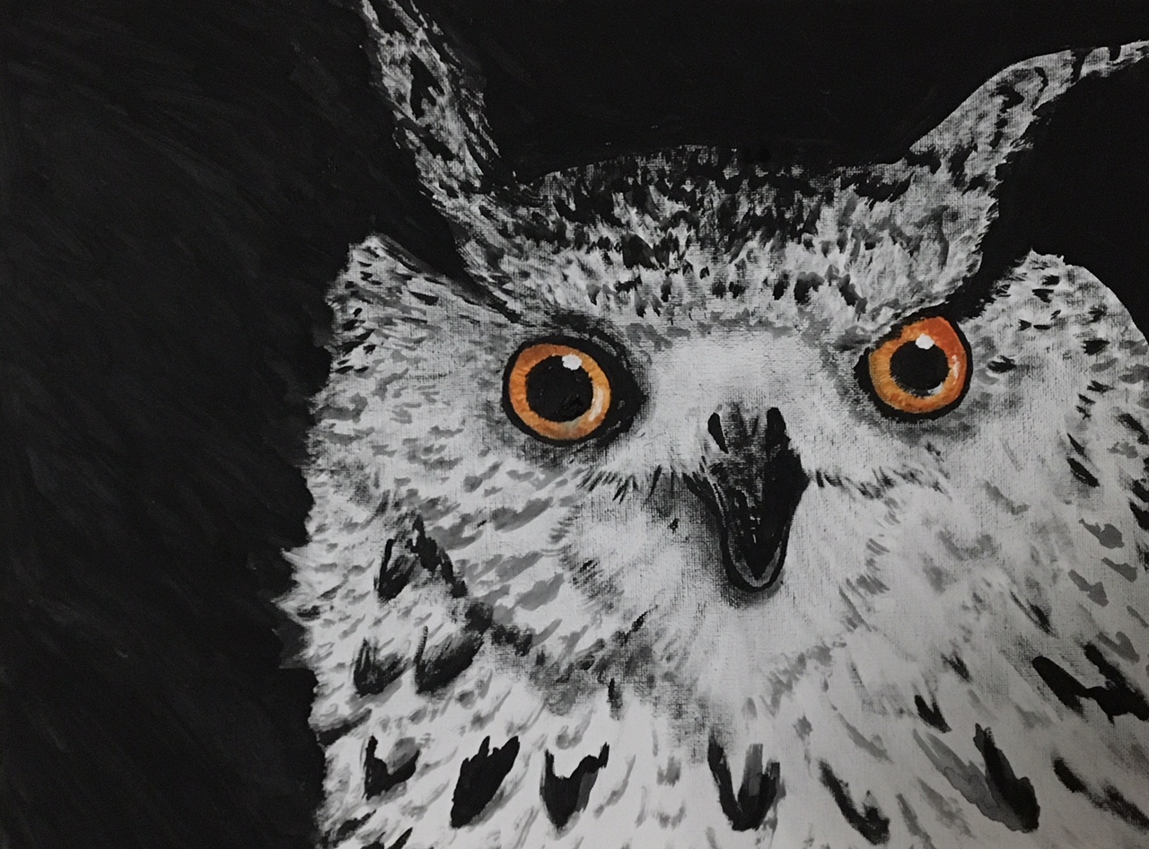 Monochromatic Animals Collection: Ow