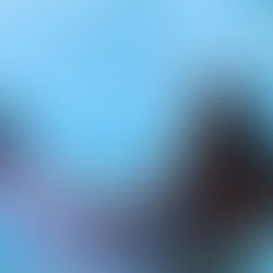 The Dolphin Company asume la operación de Ventura Entertainment