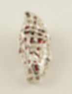 Dream Within a Dream