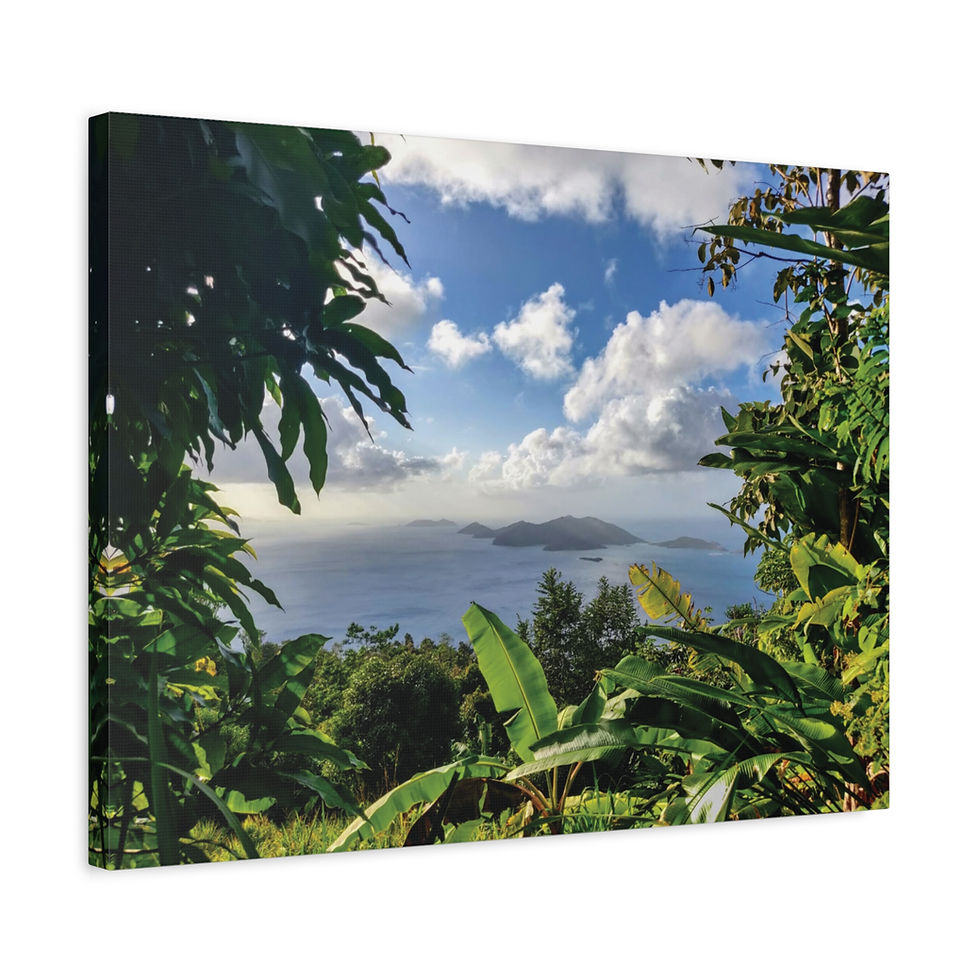 Thumbnail: Canvas Print - Jost Van Dyke, from Sage Mountain, Tortola, BVI
