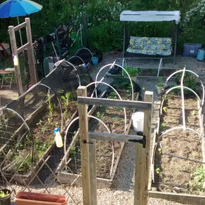 Gardening