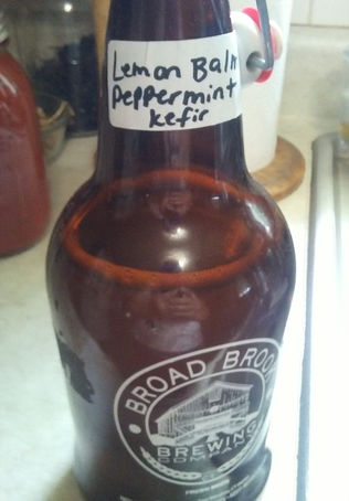 Herbal kefir sodas