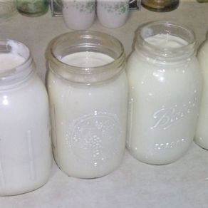 Yogurt!
