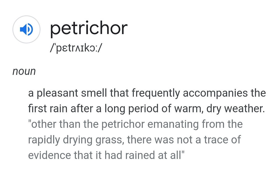 New word! PETRICHOR🌻🌎🌧🌦🌥☀️🌿🌳