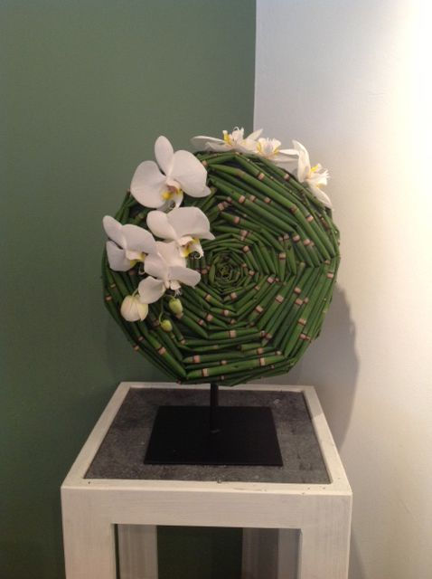 Bloemen Edelweis