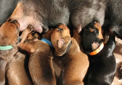 11 ottobre 2025b.jpeg