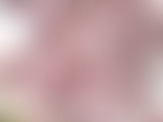 保護者の皆様いつもありがとうございます。