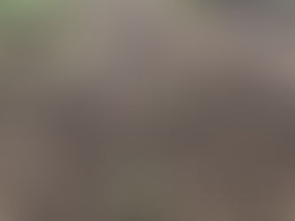 「変わってきた」子がいます。