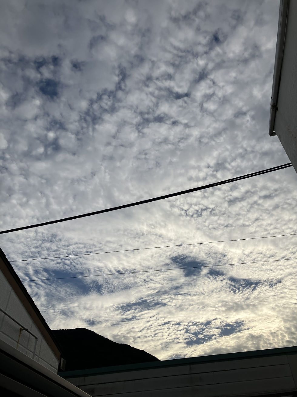 勉強に苦戦する君へ。