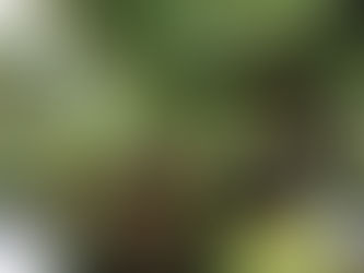 どんなに大事な勉強でも仕事でも習い事でも、〇〇〇がないと辛い。