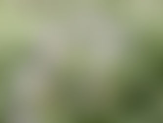 「単語」じゃないんです、英語の勉強で大事なのは💦