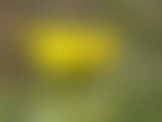 補習という名の生命線。