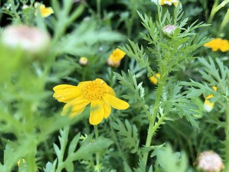 リスニングやスピーキングや単語がどうでもいいとは言いませんが、