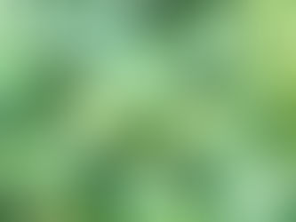 勉強・・・逃げられないなら少しでも得意にしちゃった方がいいと思う。