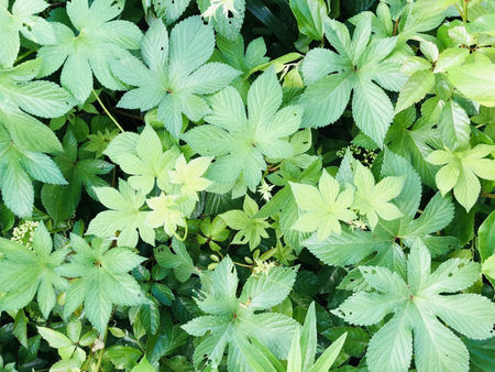 勉強・・・逃げられないなら少しでも得意にしちゃった方がいいと思う。