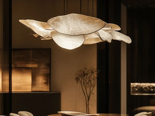 The Architecture of Light in 2026