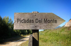 Destino.jpg