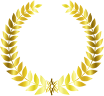 305565.png