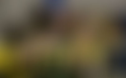 18.02.2023 Serie D: McDonald's Fortitudo vs Chisola Volley, il commento