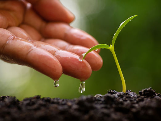 Pronti per ripartire...