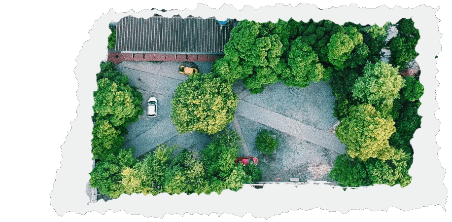 Ilustração_Sem_Título 8.gif