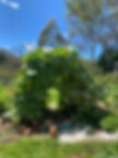 IMG_4196.jpeg