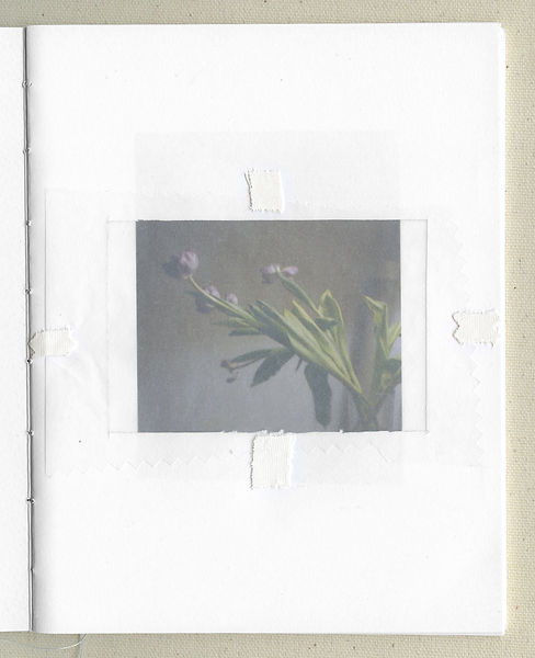 FLOWER WINDOW.jpg