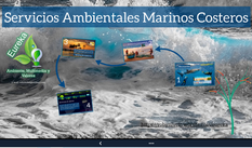 Tecnología Educativa para cultura oceánica "Servicios Ambientales del Océano"