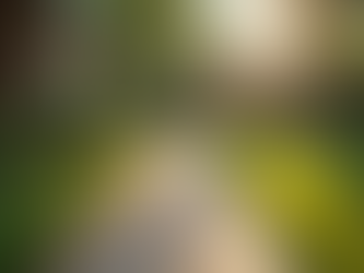 Reducing Wildfire Risks: Defensible Space Strategies