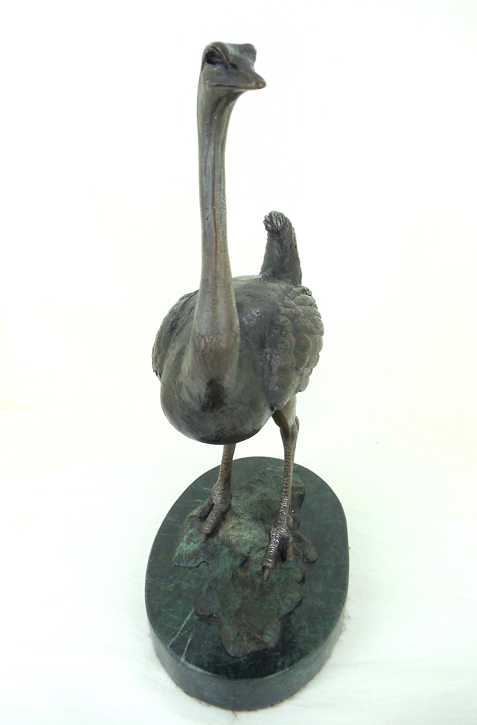 Thumbnail: Proud Ostrich by R.C. Hunt