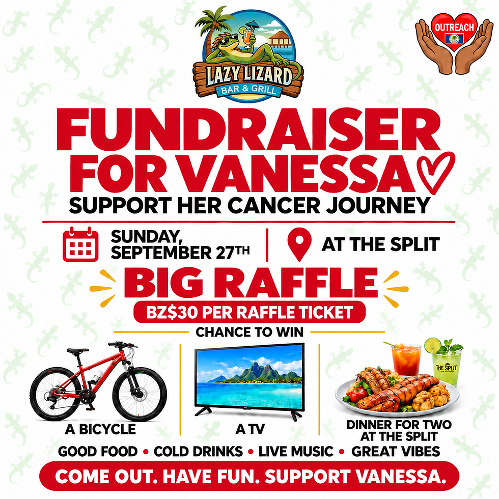 Fundraiser for Vanessa
