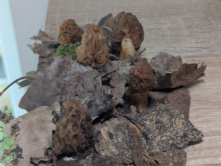 Ein Blick hinter die Kulissen 🙂