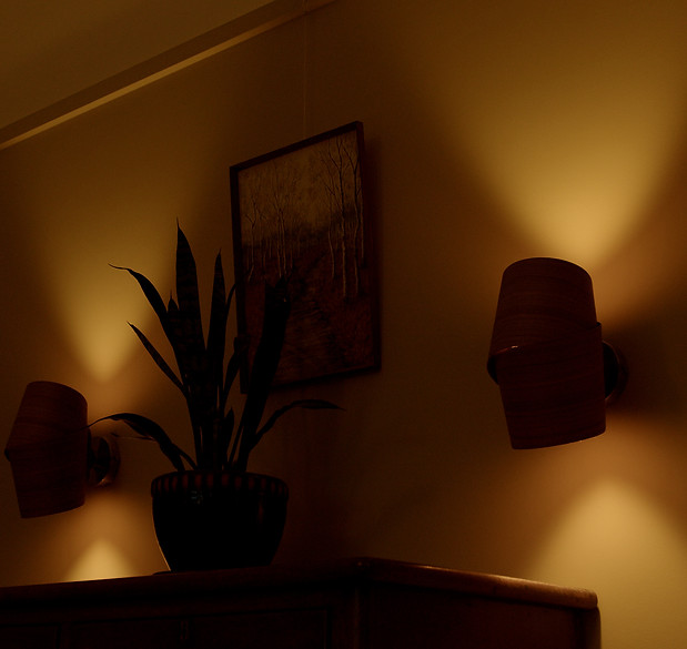 BM Pocket006_12130856_C001.00_01_56_07.Still010.jpg