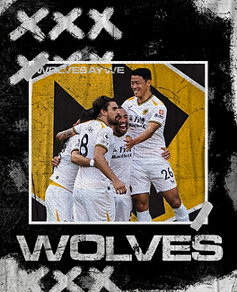 Wolves photo design.png