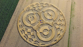 Why you should pay attention to crop circles
