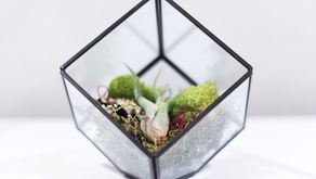 Ground your energy to Gaia with the cube
