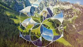 Mastering flow with the seed of life