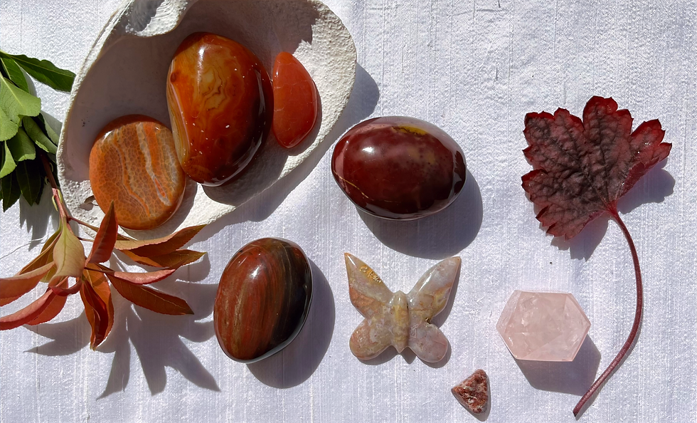 Crystals of the red ray. Clockwise from left: fire agate, sardonyx, carnelian, mookaite jasper, rose quartz, ocean jasper, plume agate, and petrified wood
