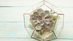Shield your energy with the dodecahedron
