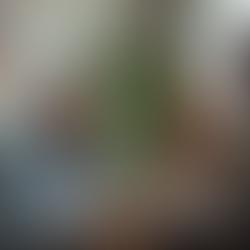 Empower Your Family with Expert Counseling Services