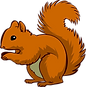 squirrel-g8de4b2057_1280.png