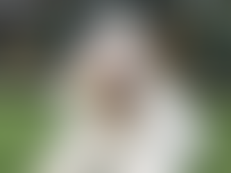 シュガー、いままでありがとう