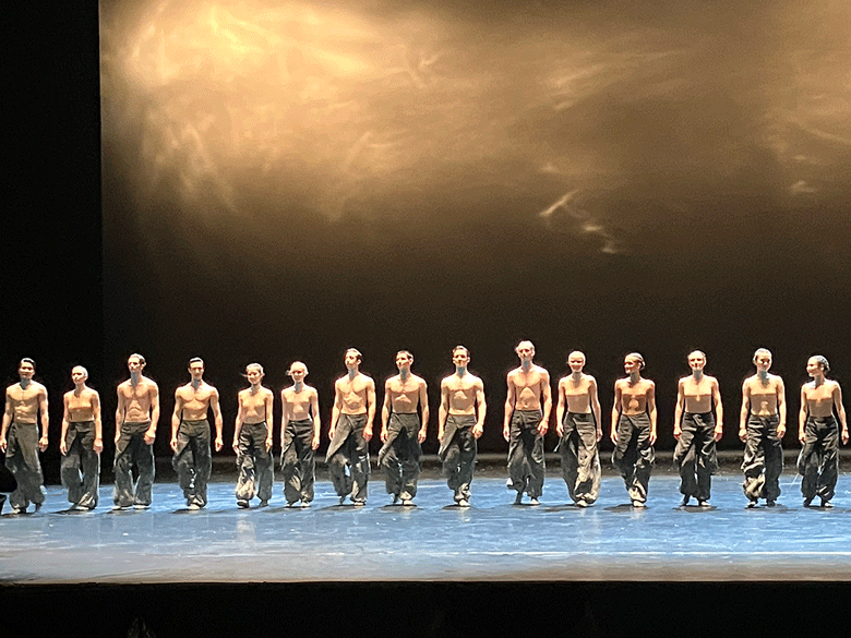 Danse---Vibretion.gif