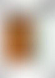 Novo número! InfoNEIBA 2025.2