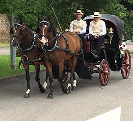 Un meneur de Shagya en France 