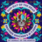 Sun-Day of The Dead - Live Music w/ Train 102 Grateful Dead Tribute Band