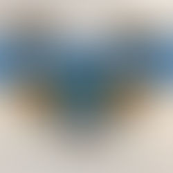 Hilton Head WingFest 2026: Date, Tickets, Music & Event Guide