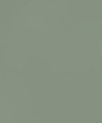 The Wine Cellar Company Green Backdrop JPEG.jpg